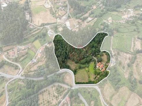 Quinta da Azenha – Ländlicher Charme in Lustosa, Lousada