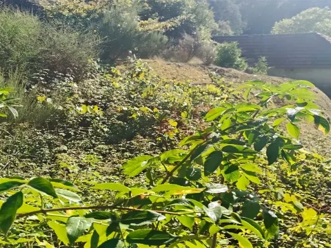 Moradia T3 para restaurar com terreno em Seidões, Fafe