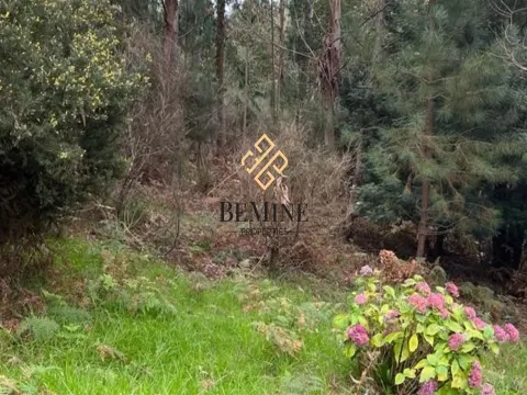 Land / Santa Cruz - Madeira Island