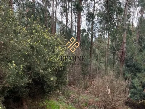 Land / Santa Cruz - Madeira Island