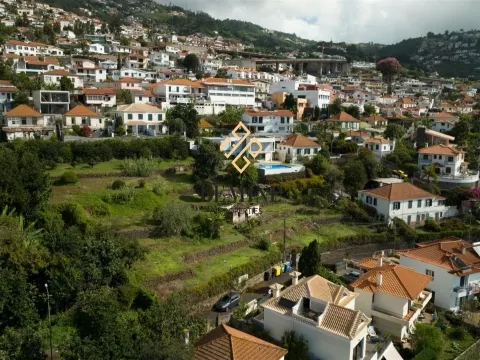 Land / Funchal - Madeira Island