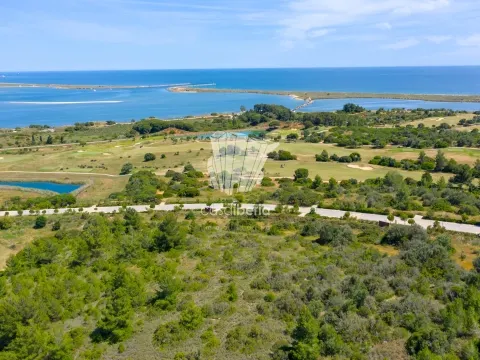 Synopsis - Lagos - Algarve