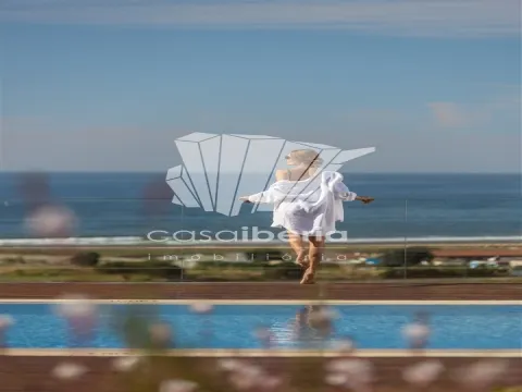 Synopsis - Meia Praia - Lagos - Algarve