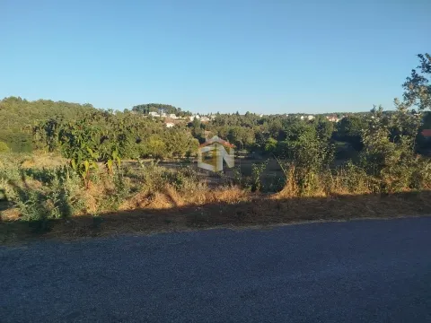 Lote de Terreno para construção com 1ha
