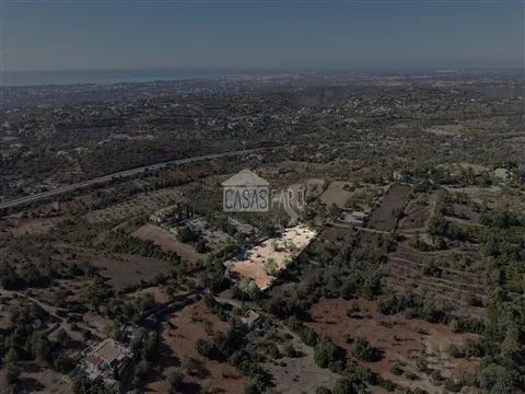 img_1