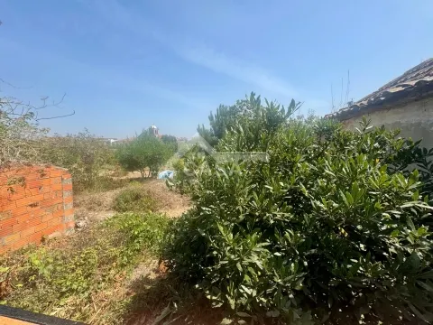 Terreno para construção em Veiros