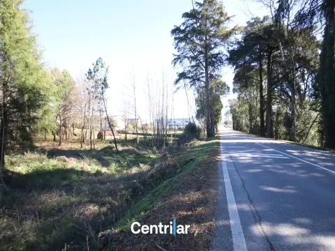 Terreno para construção de Pavilhão com 1.35 ha  junto à estrada nacional