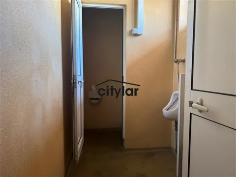 img_8