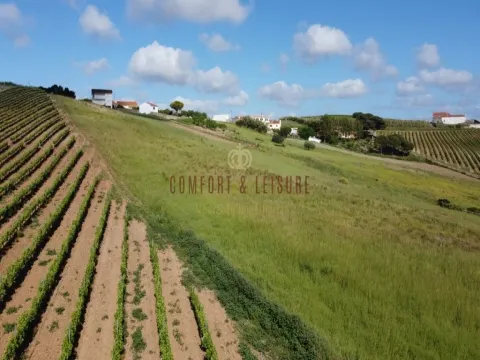 Terrain rustique avec 1,8 ha avec terrain à bâtir