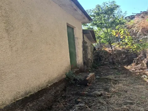 Apartment Floor Dwelling T1