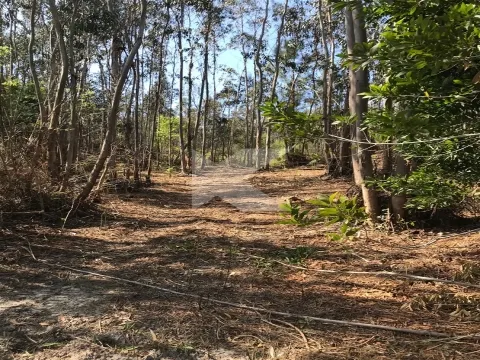 Moradia T7 em Coimbra para restaurar