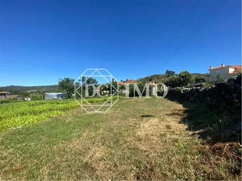 Terreno para venda em Mogueirães - Cambra - Vouzela