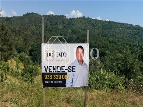 Terreno Rústico