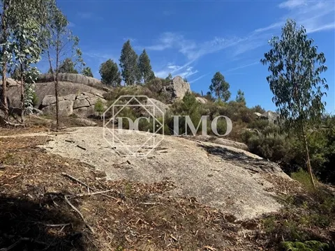 Rustico Terreno