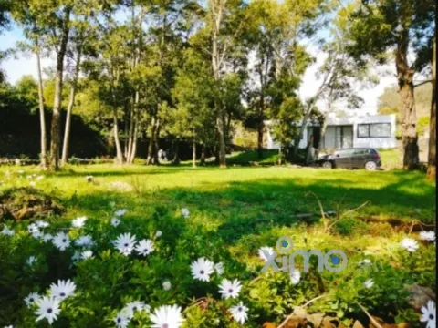 Vivienda 4 Dormitorios