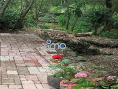 Vivienda 4 Dormitorios