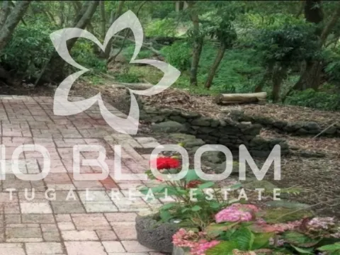 Appartamento 2+ camere