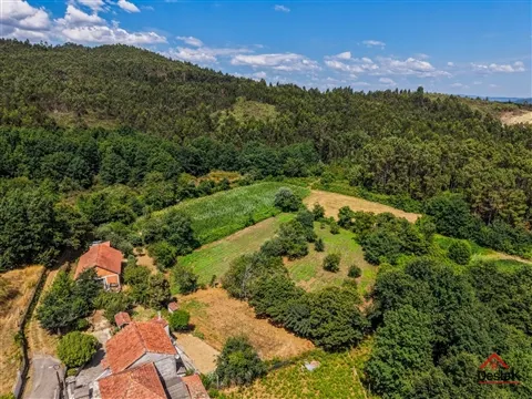 Quinta encantadora em Serrazes, São Pedro do Sul