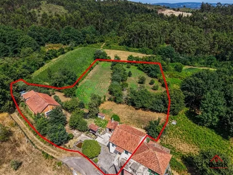 Quinta encantadora em Serrazes, São Pedro do Sul