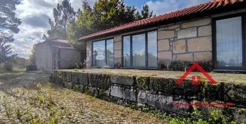 Quinta de 3 Hectares Próxima de Viseu