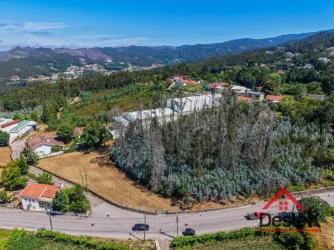 img_3