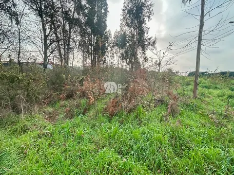 Piece of Real Estate