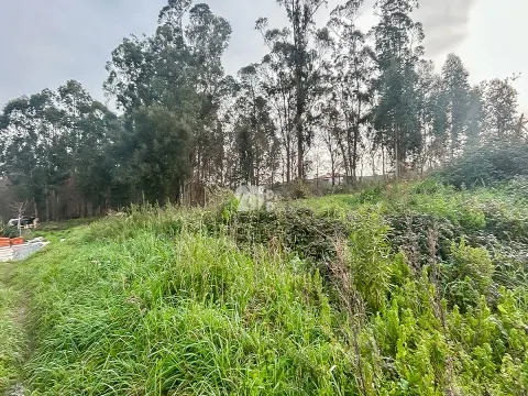 Piece of Real Estate