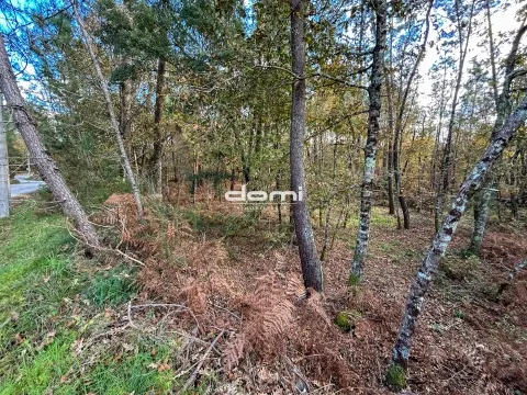  Pinhal com 5.773m² em Arcozelo - São Pedro do Sul