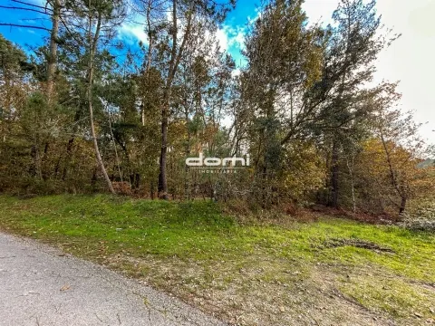  Pinhal com 5.773m² em Arcozelo - São Pedro do Sul