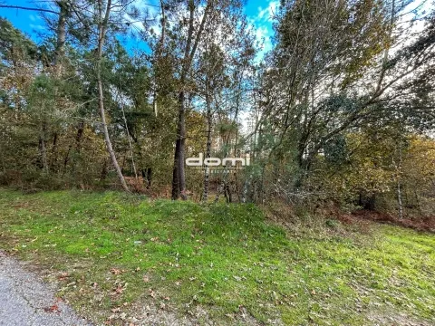  Pinhal com 5.773m² em Arcozelo - São Pedro do Sul