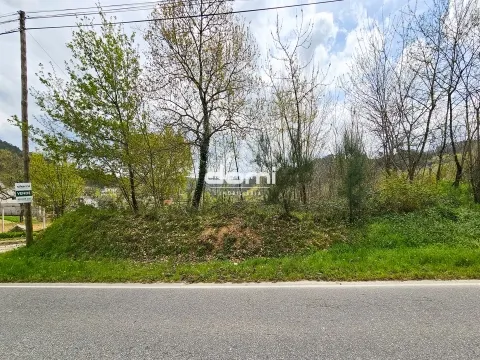  Pinhal com 2165m² em Arcozelo - São Pedro do Sul