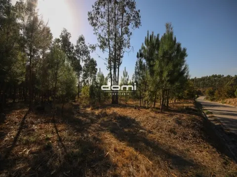Terreno com viabilidade de construção em Oliveira de Frades