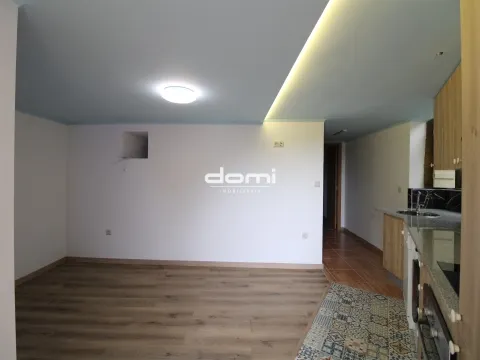 Apartamento T1+1 em São Pedro do Sul, arrendamento
