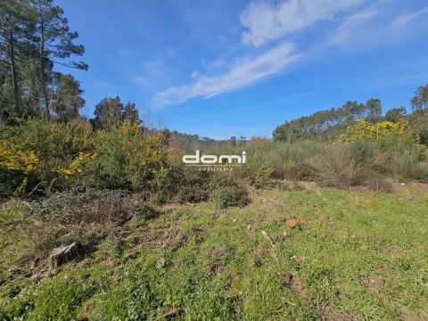 🌲 Terreno com 1.059 m² no Paraíso – Arcozelo - São Pedro do Sul