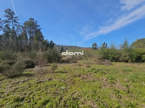 🌲 Terreno com 1.059 m² no Paraíso – Arcozelo - São Pedro do Sul