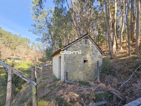 🌿 Terreno com Viabilidade de Construção, nas Termas - São Pedro do Sul