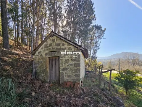 🌿 Terreno com Viabilidade de Construção, nas Termas - São Pedro do Sul
