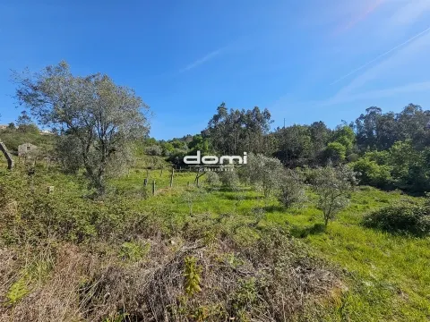 🌿 Terreno Rústico em São João da Serra 🌿