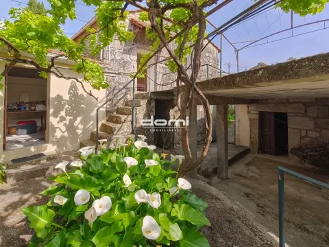 Detached house T4