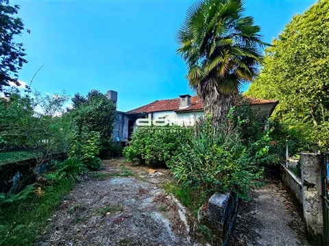 img_36