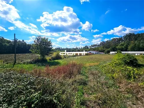 img_10