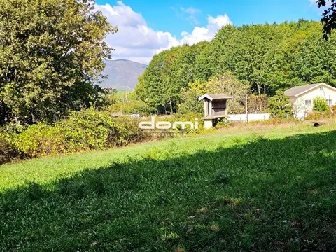 Rustico Terreno