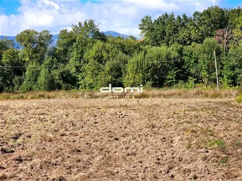 Rustico Terreno