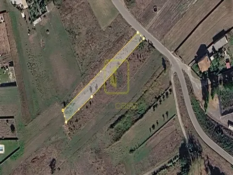 Terrain rural