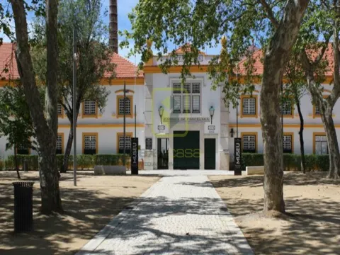 Terreno para Construção em Ílhavo 