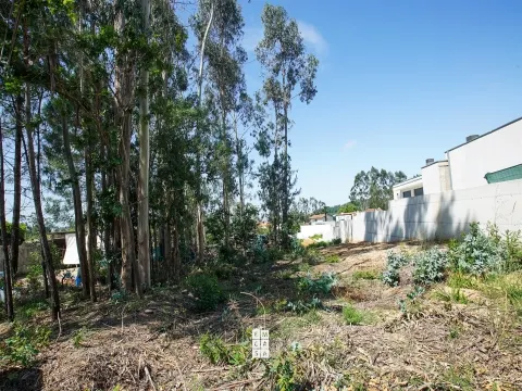 Terrain à bâtir