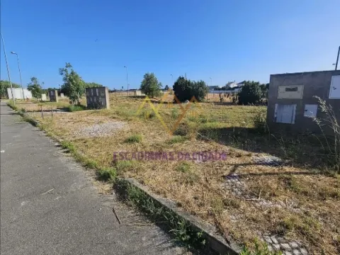 Vivre à Montijo. Vivre à Casas da Broega.