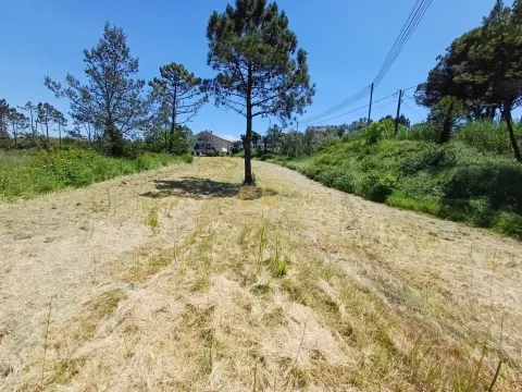 Городской участок