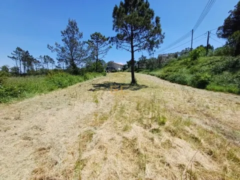 Городской участок