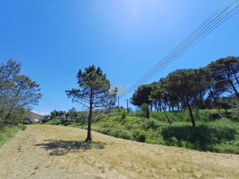 Городской участок